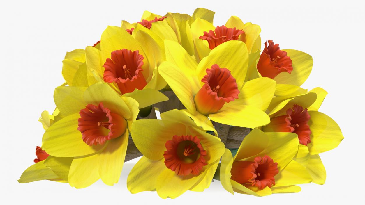 Yellow Daffodils Bouquet 3D model