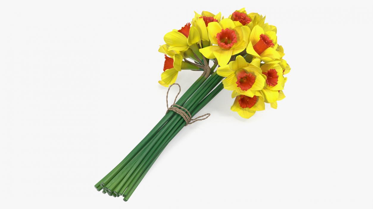 Yellow Daffodils Bouquet 3D model