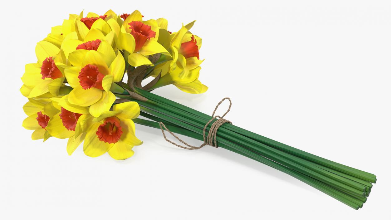 Yellow Daffodils Bouquet 3D model