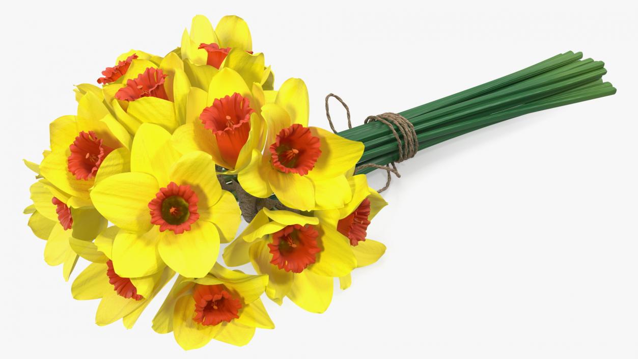 Yellow Daffodils Bouquet 3D model