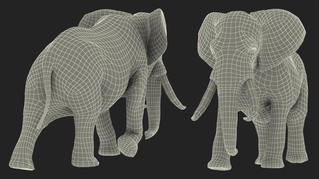 Animated Elephants Collection 3D model