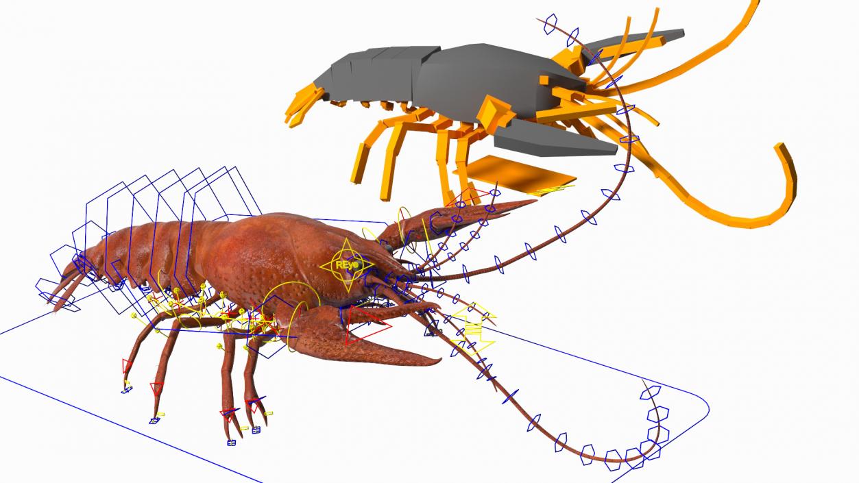 Crawfish Boiled Rigged 3D