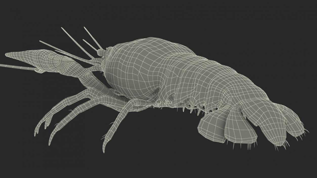 Crawfish Boiled Rigged 3D