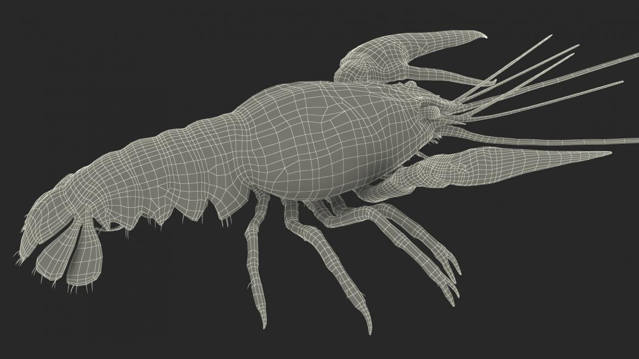 Crawfish Boiled Rigged 3D