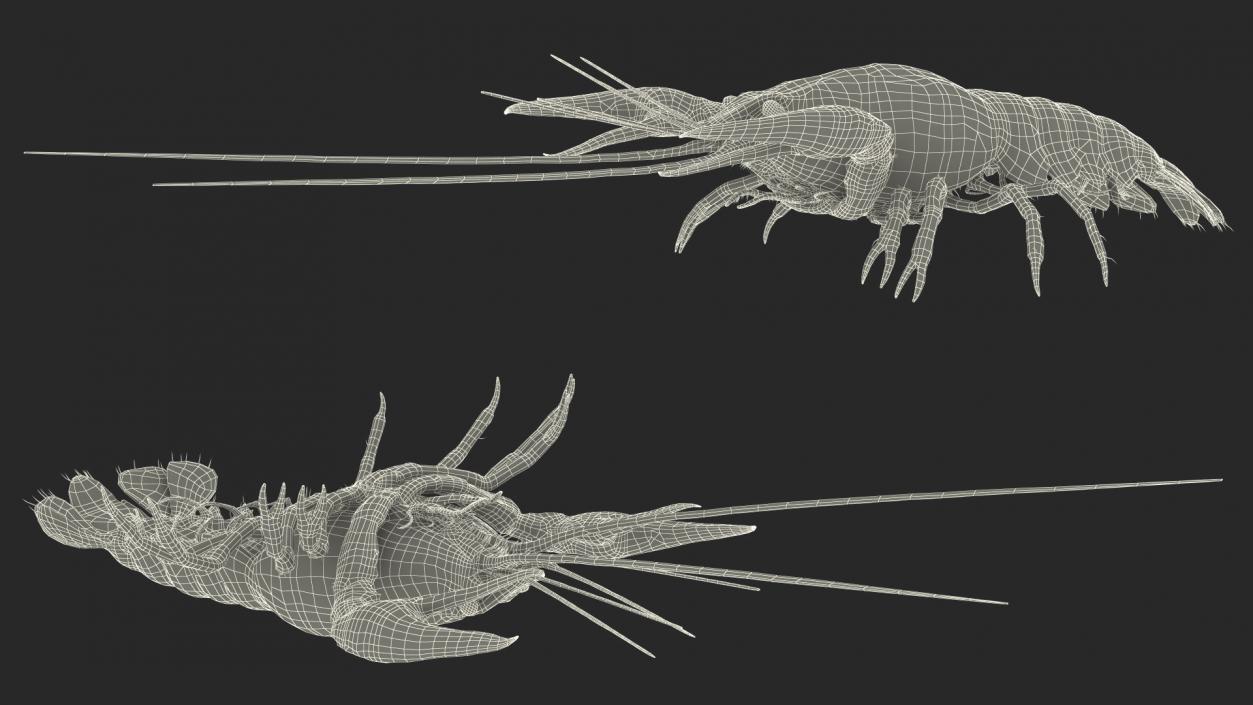 Crawfish Boiled Rigged 3D