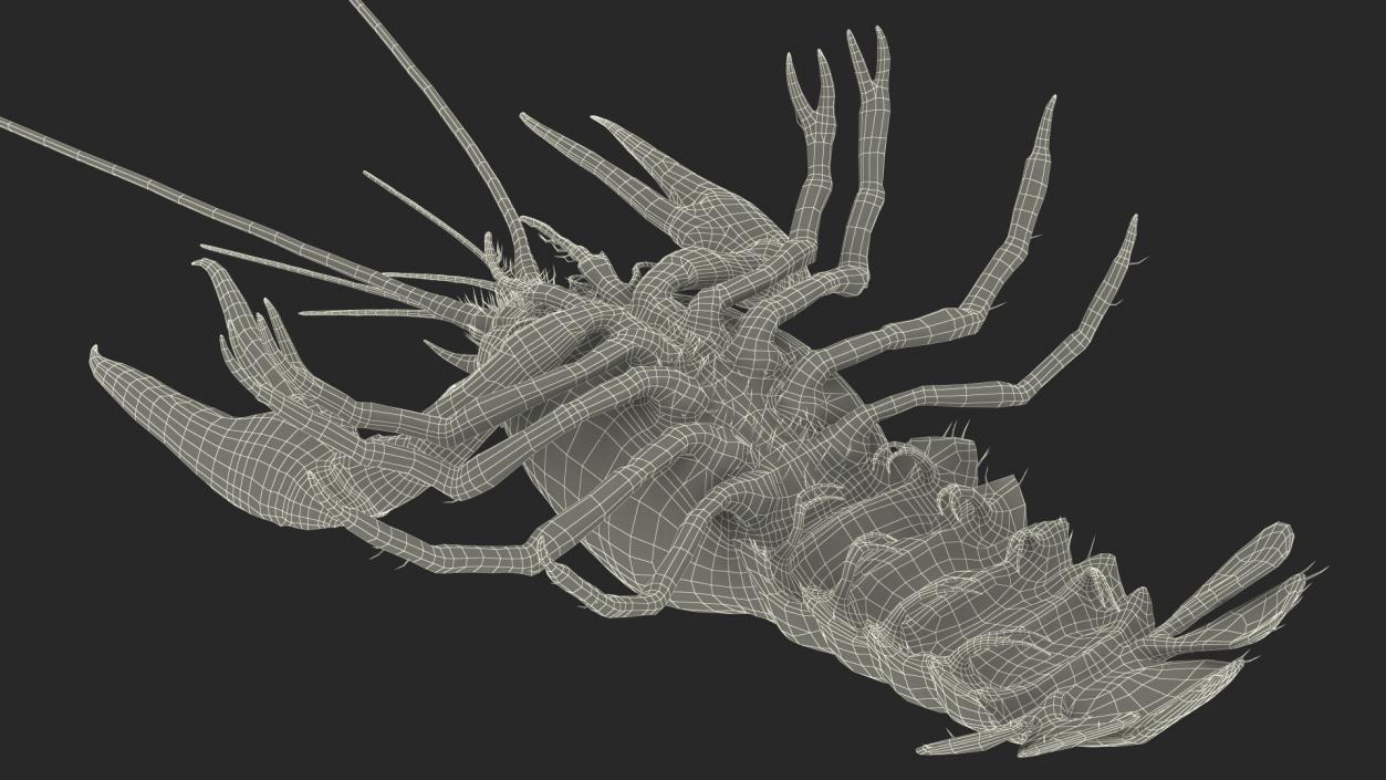 Crawfish Boiled Rigged 3D