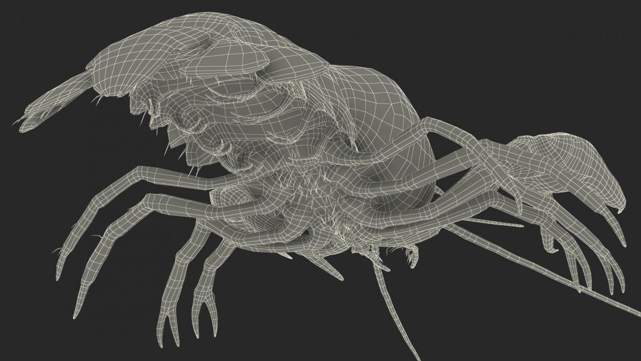 Crawfish Boiled Rigged 3D