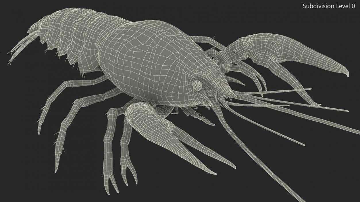 Crawfish Boiled Rigged 3D