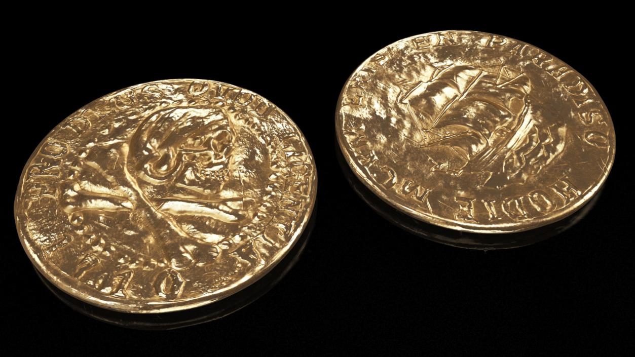 3D model Treasure Pirate Gold Coin