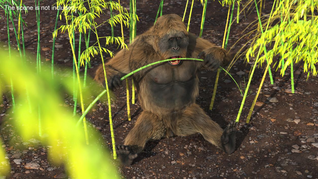 3D Gigantopithecus Eats Bamboo Plants Fur model