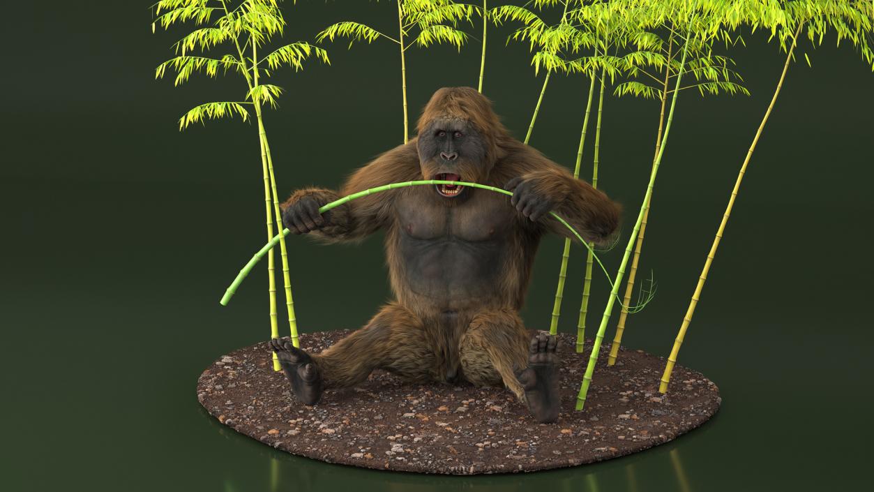 3D Gigantopithecus Eats Bamboo Plants Fur model