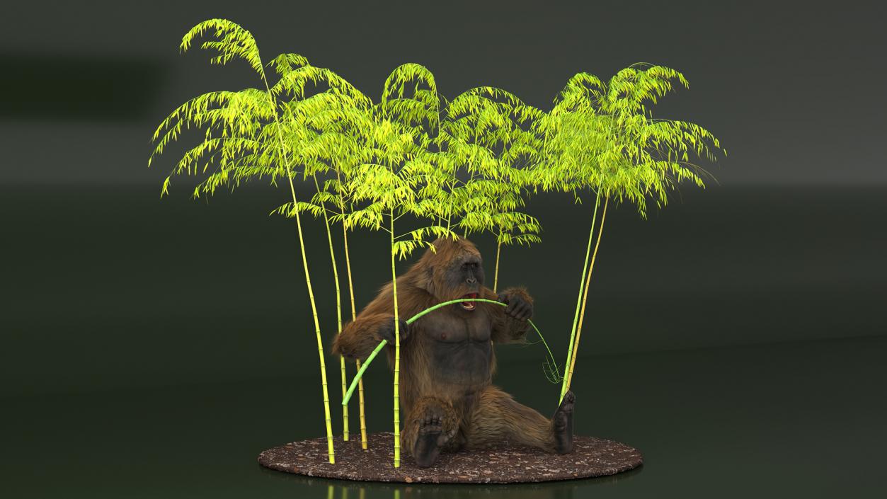 3D Gigantopithecus Eats Bamboo Plants Fur model