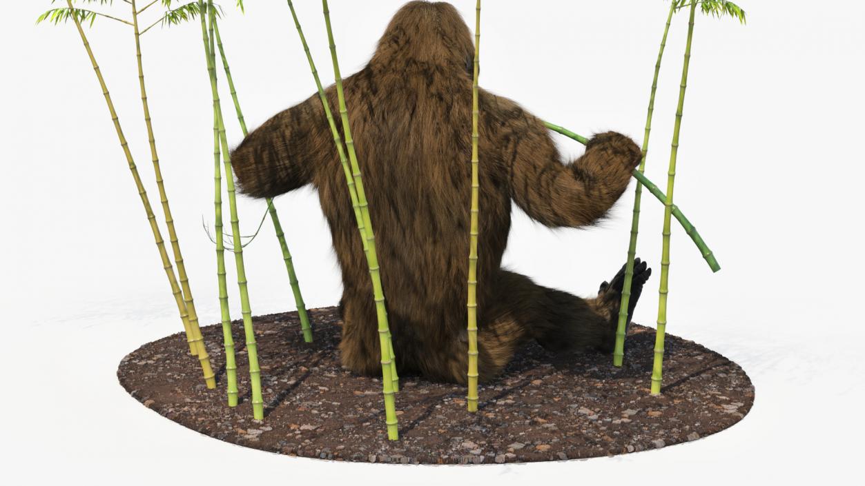 3D Gigantopithecus Eats Bamboo Plants Fur model