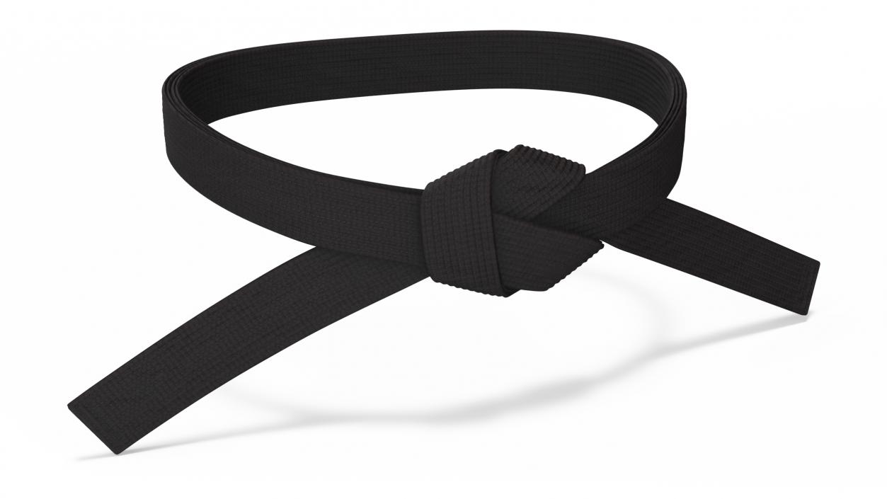 Black Martial Arts Waist Belt 3D model