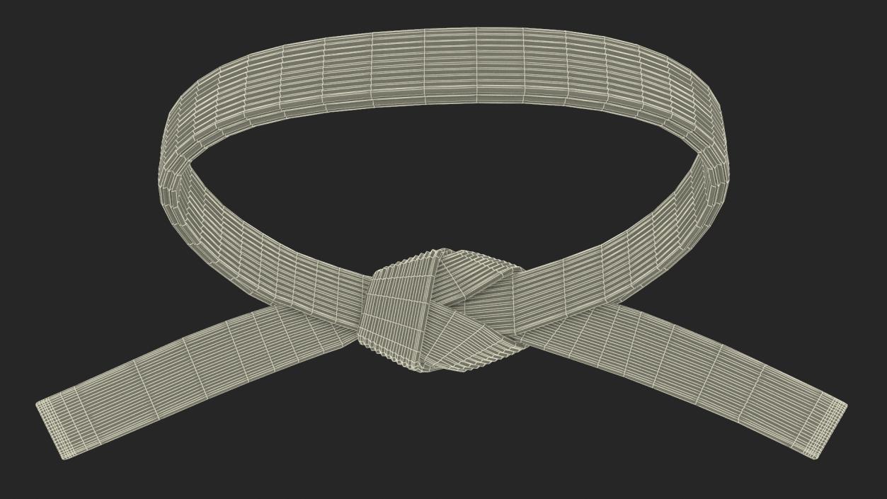 Black Martial Arts Waist Belt 3D model