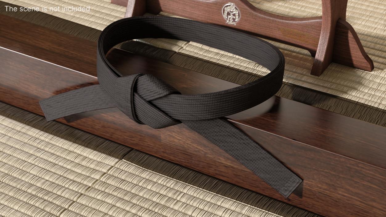 Black Martial Arts Waist Belt 3D model