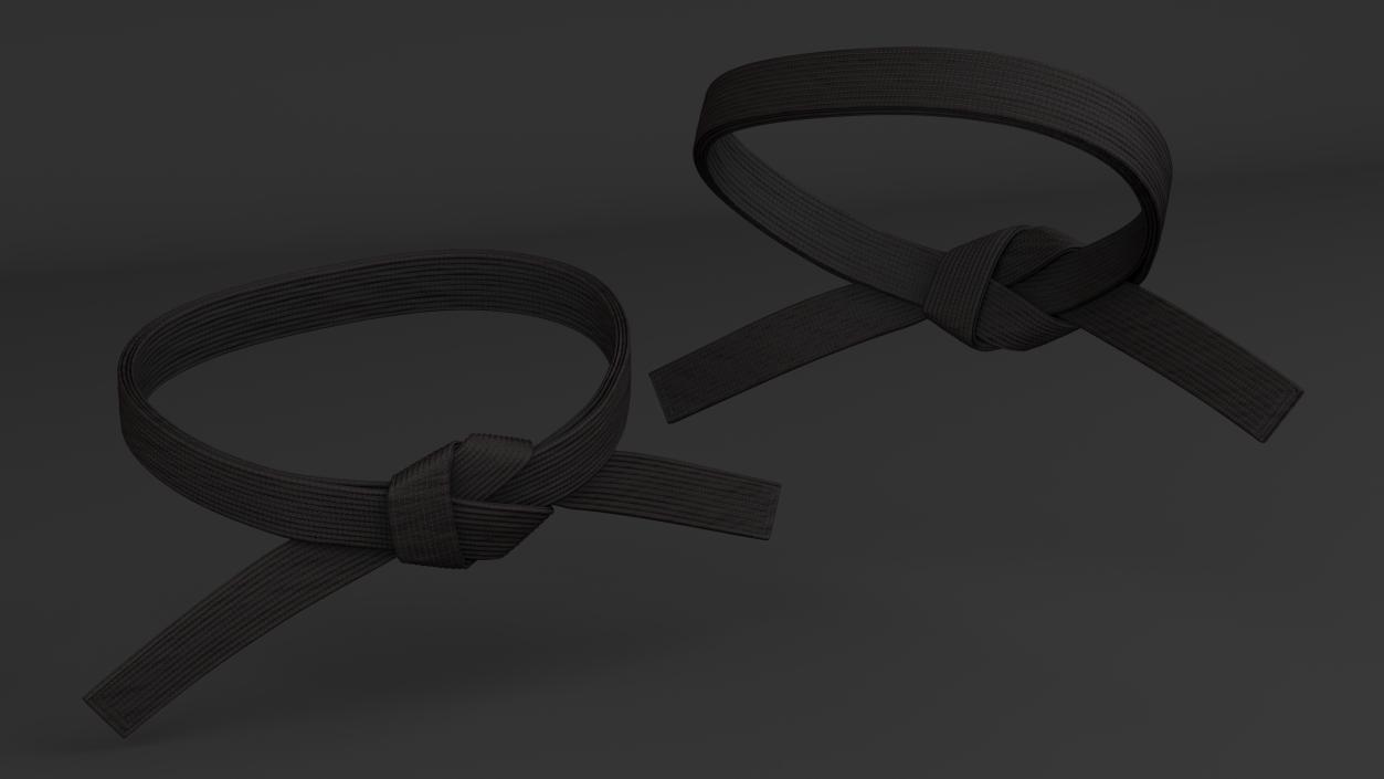 Black Martial Arts Waist Belt 3D model