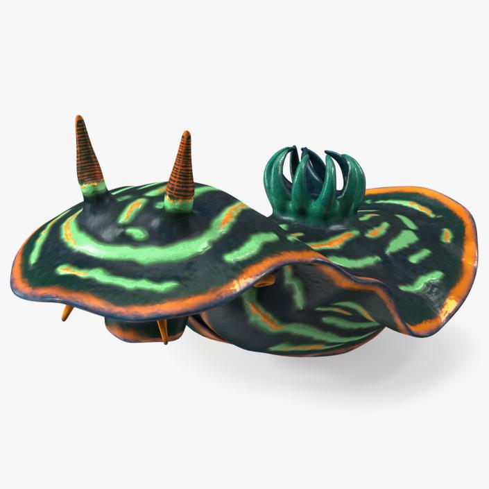 3D model Dusky Nembrotha