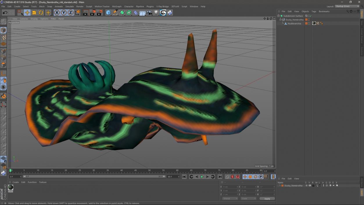 3D model Dusky Nembrotha