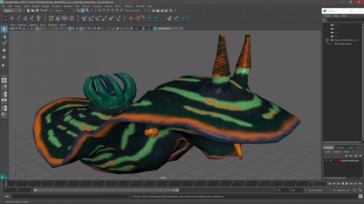 3D model Dusky Nembrotha