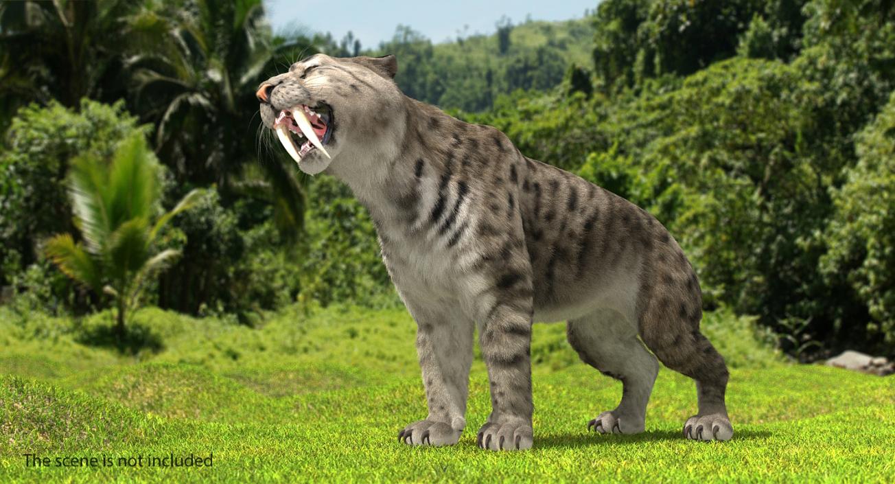 3D Arctic Saber Tooth Cat Growls Pose with Fur model