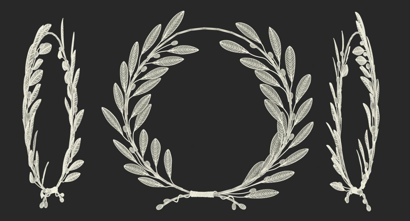 3D model Laurel Wreath Silver