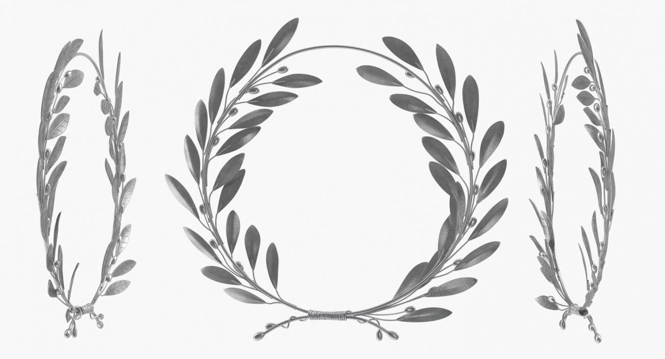 3D model Laurel Wreath Silver