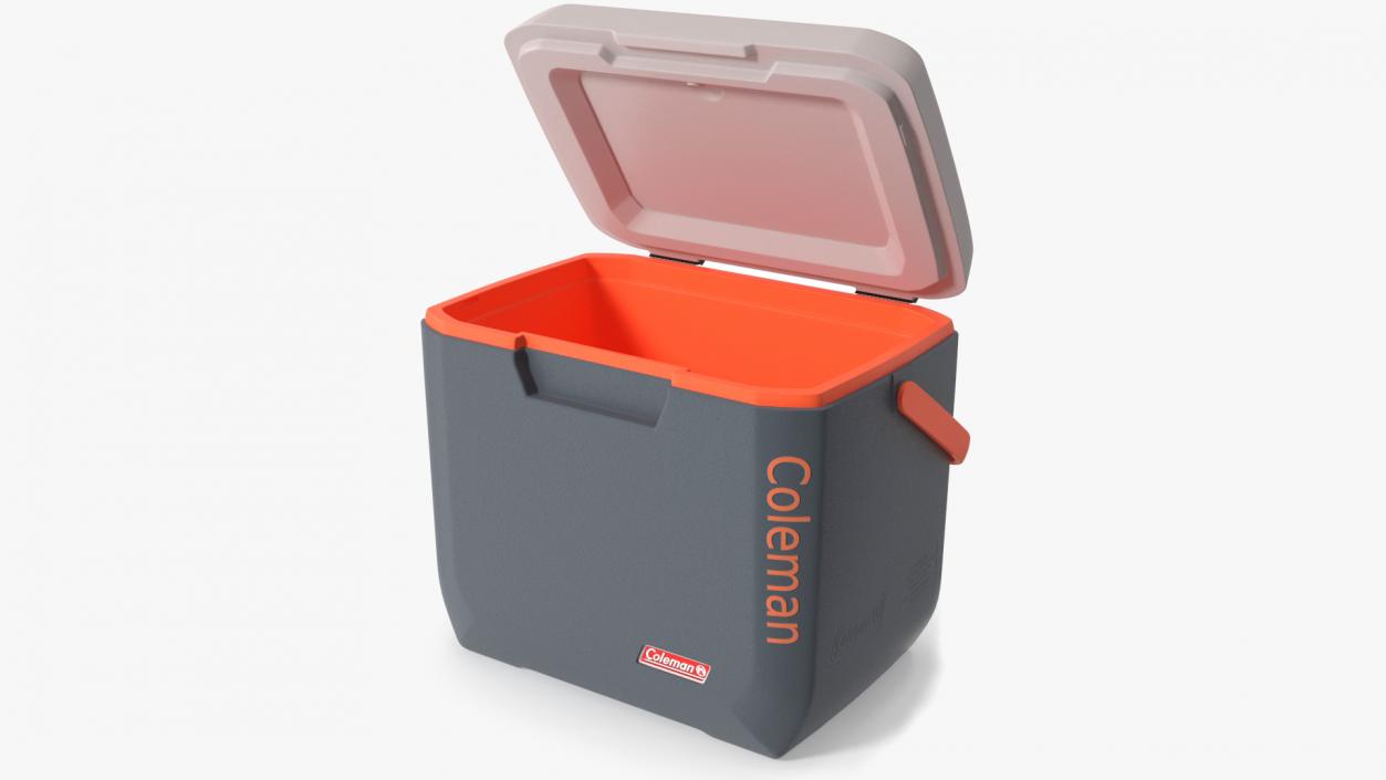 Coleman Cool Box 28 QT Gray Rigged 3D model