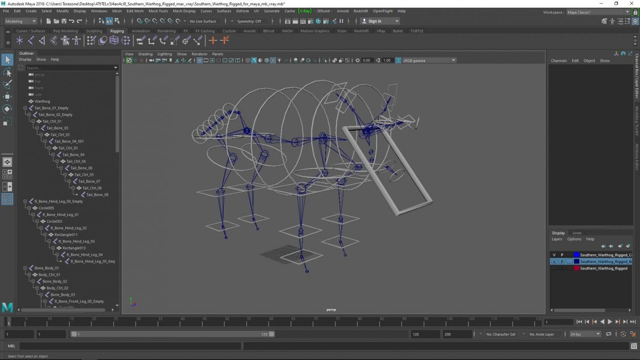 Southern Warthog Rigged for Maya 3D