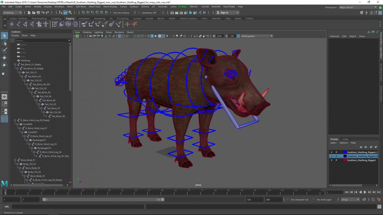 Southern Warthog Rigged for Maya 3D