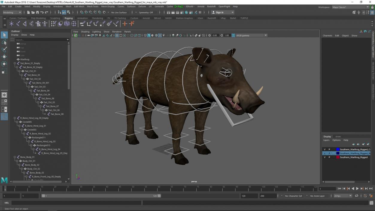 Southern Warthog Rigged for Maya 3D