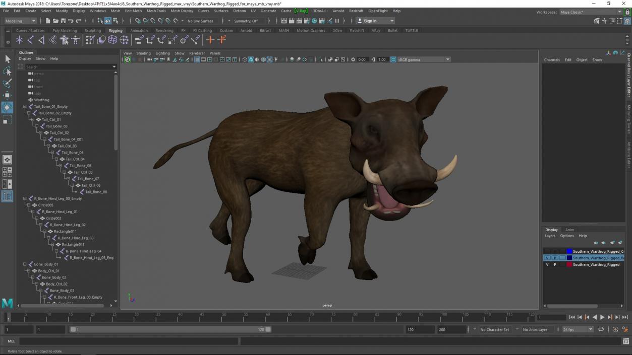 Southern Warthog Rigged for Maya 3D