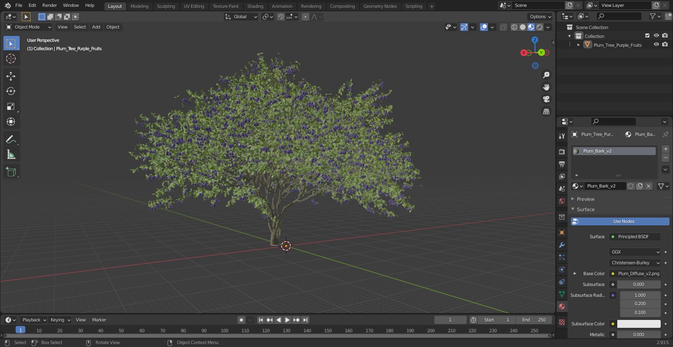 3D Plum Tree Purple Fruits model