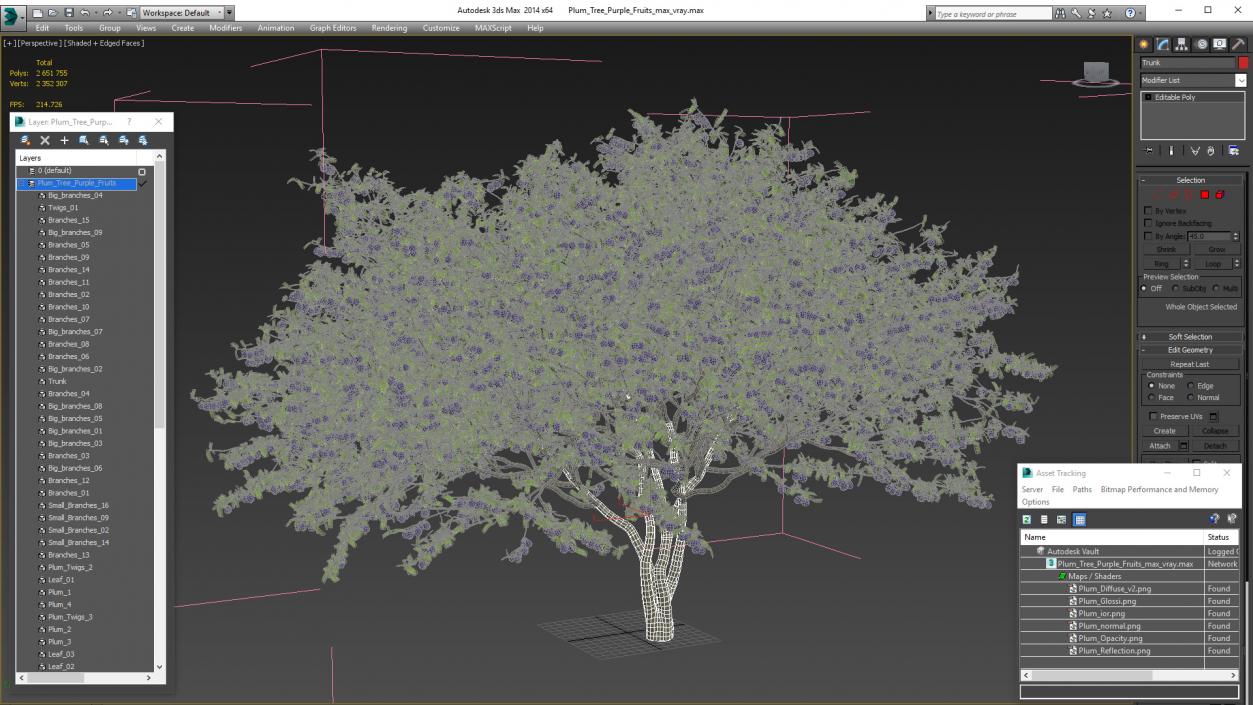 3D Plum Tree Purple Fruits model