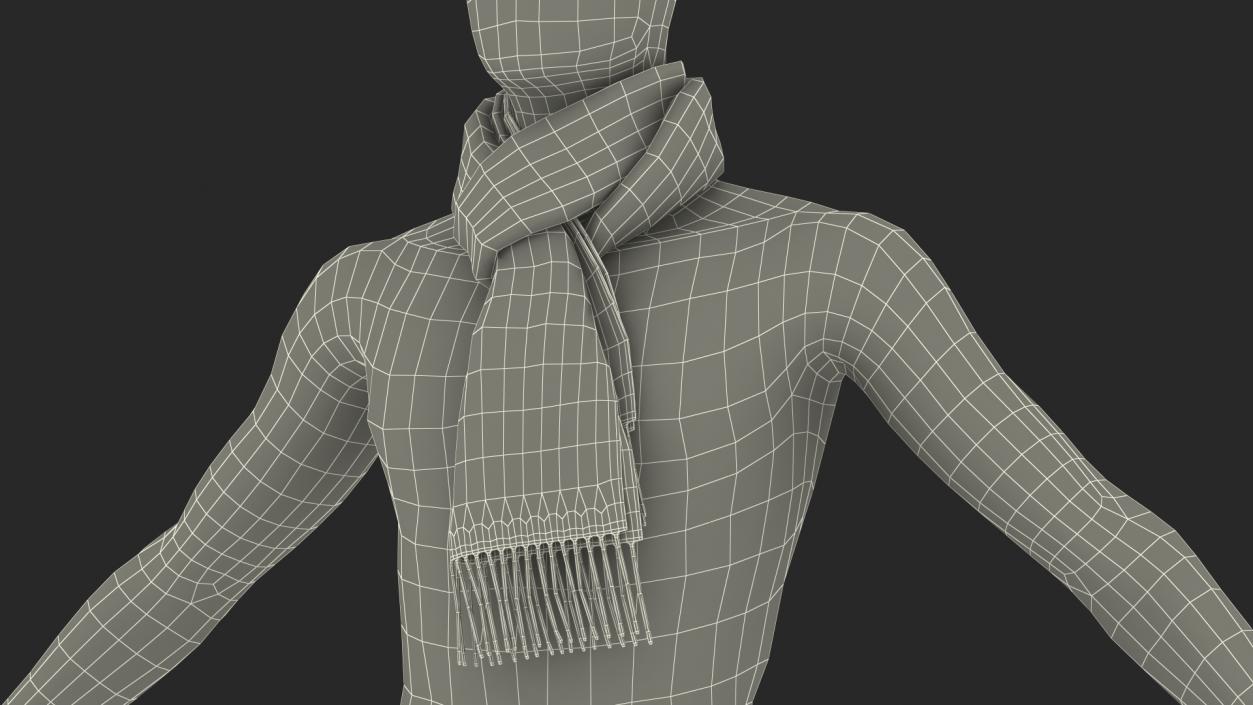 3D model Beige Plaid Scarf on Mannequin