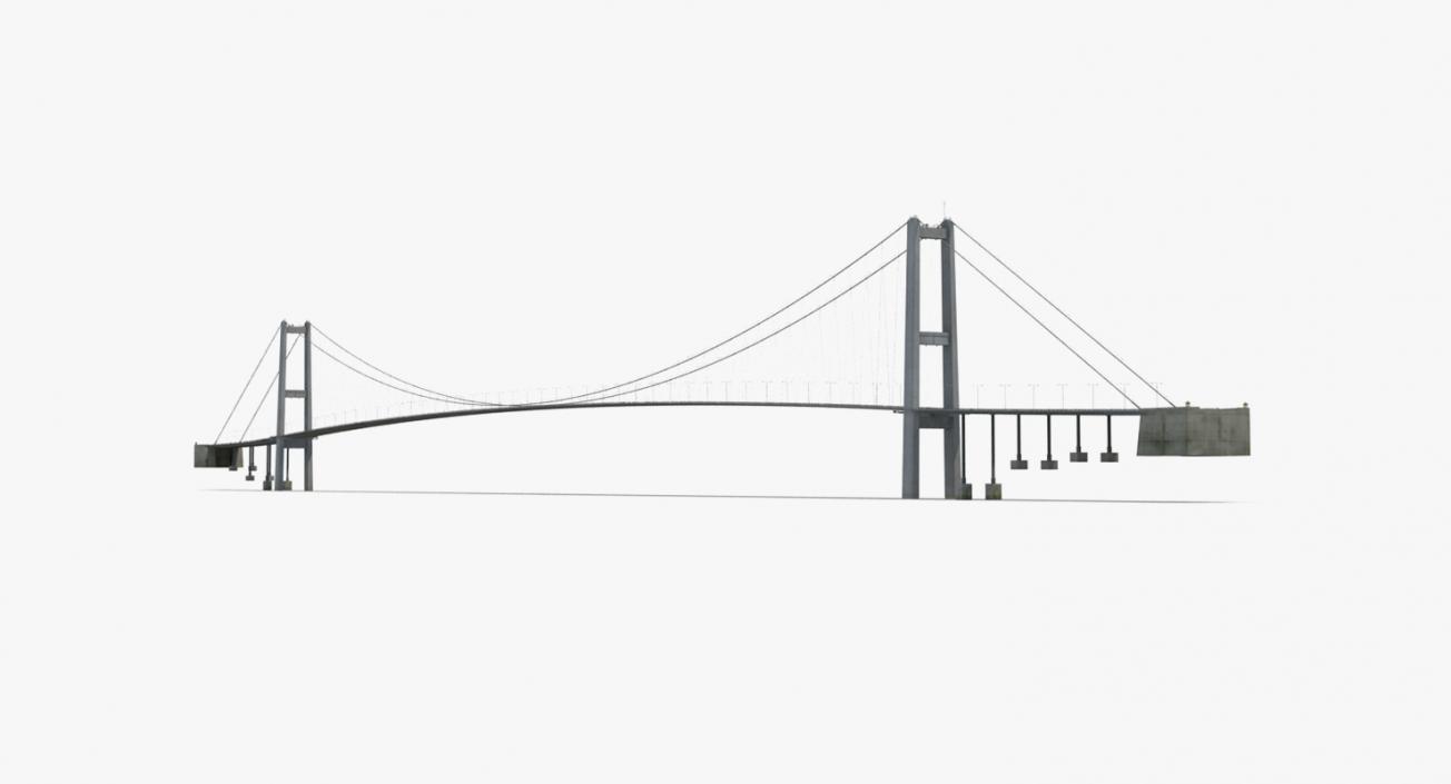 Suspension Bridges Collection 3D model