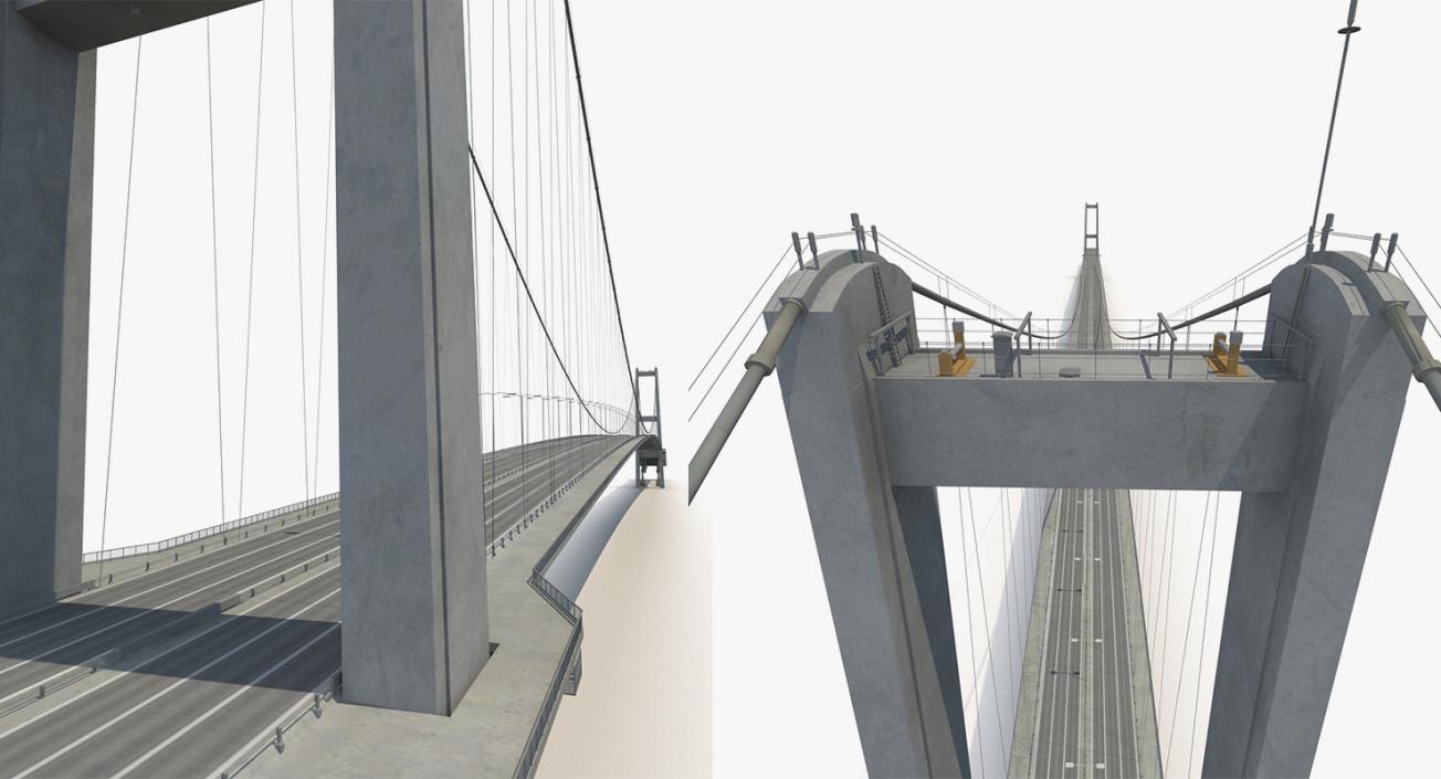 Suspension Bridges Collection 3D model