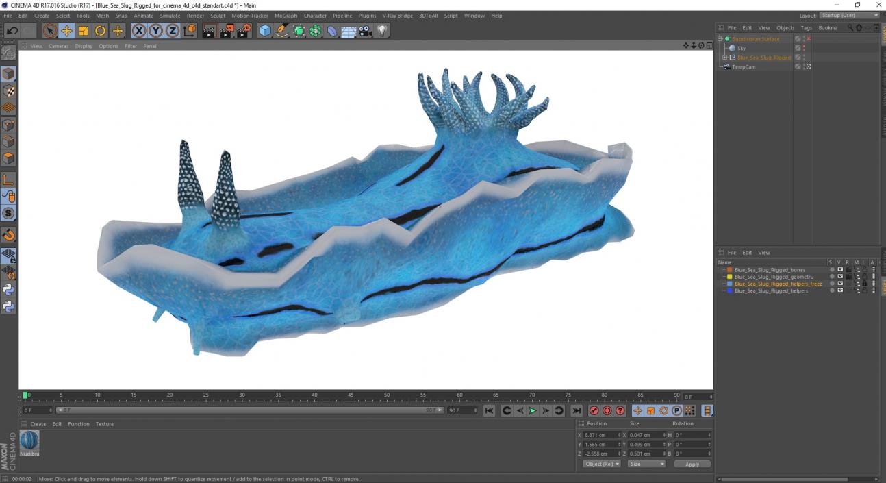 Blue Sea Slug Rigged for Cinema 4D 3D model