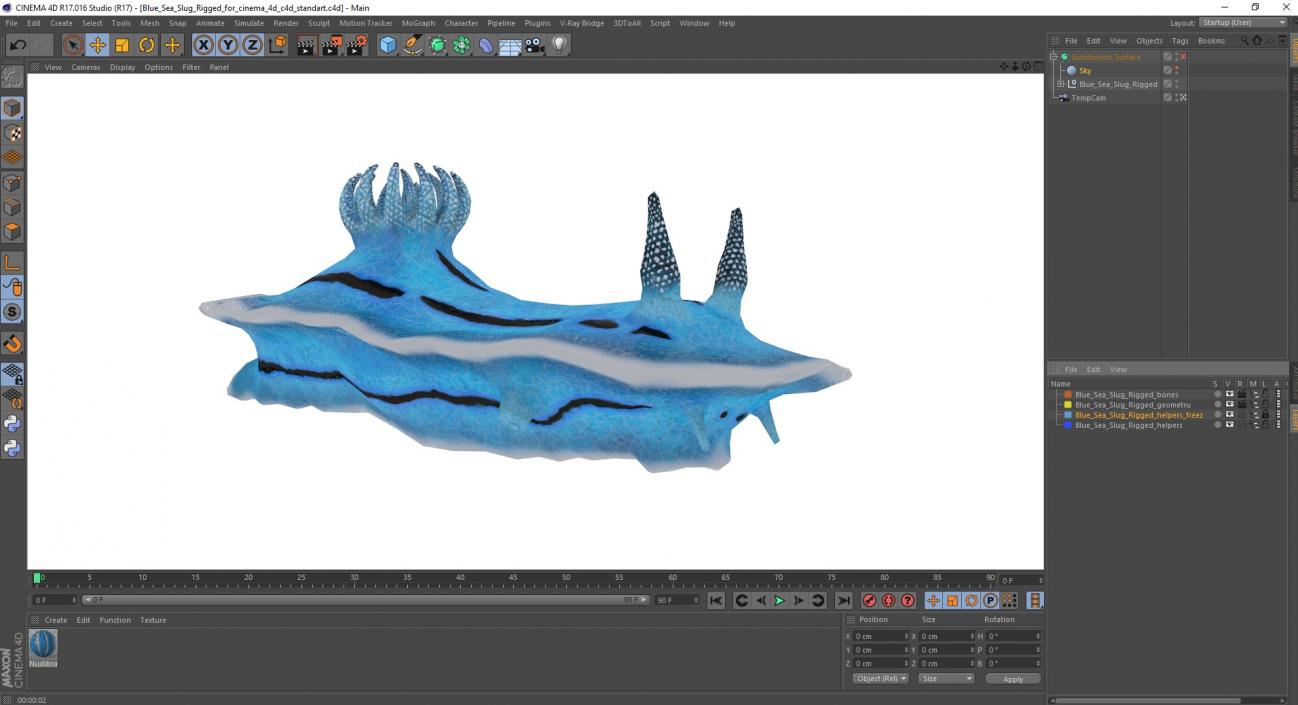 Blue Sea Slug Rigged for Cinema 4D 3D model