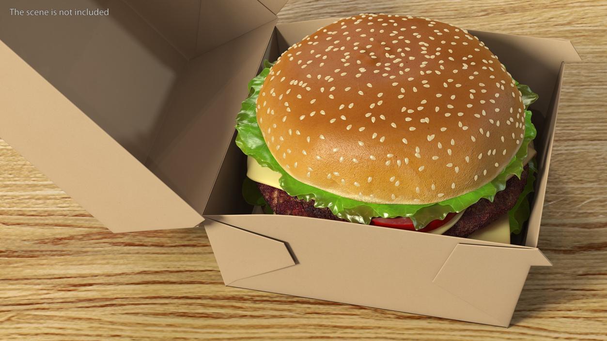 3D Burger Box Brown with Hamburger