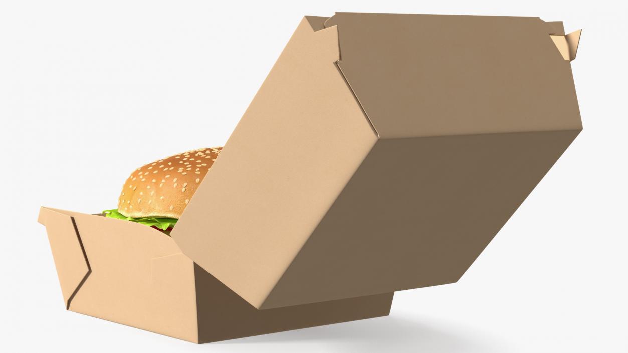 3D Burger Box Brown with Hamburger