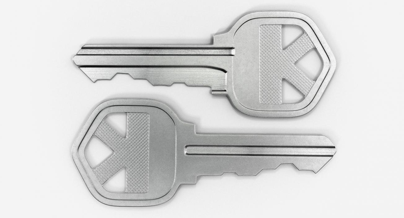 3D model Door Keys Collection