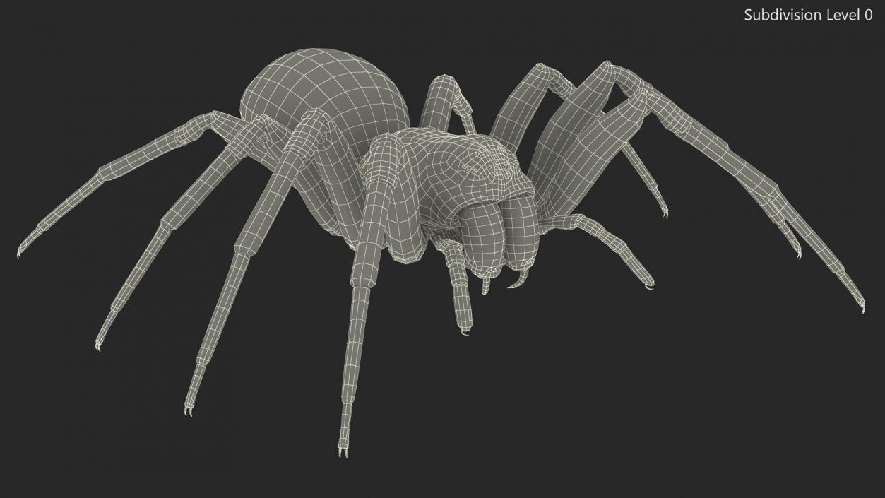 Black Wolf Spider Rigged 3D model