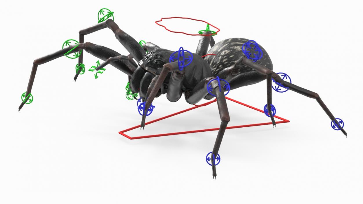 Black Wolf Spider Rigged 3D model