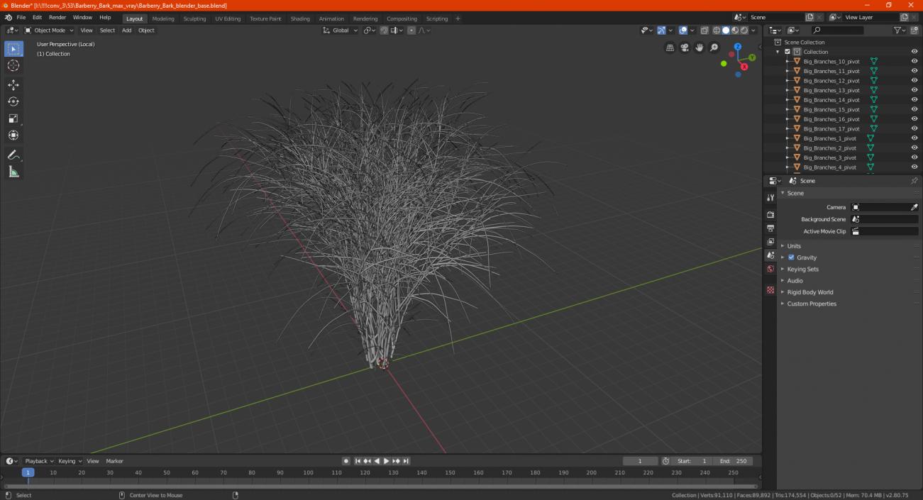 3D Barberry Bark model