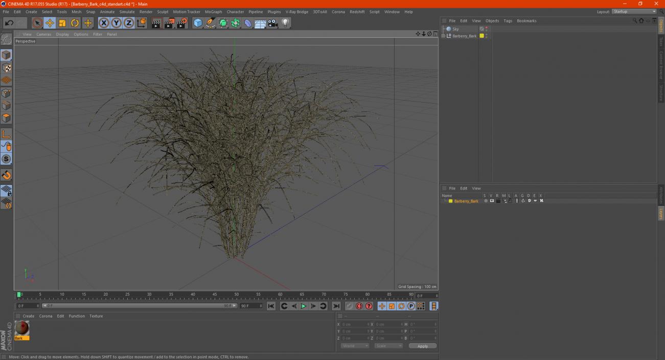 3D Barberry Bark model