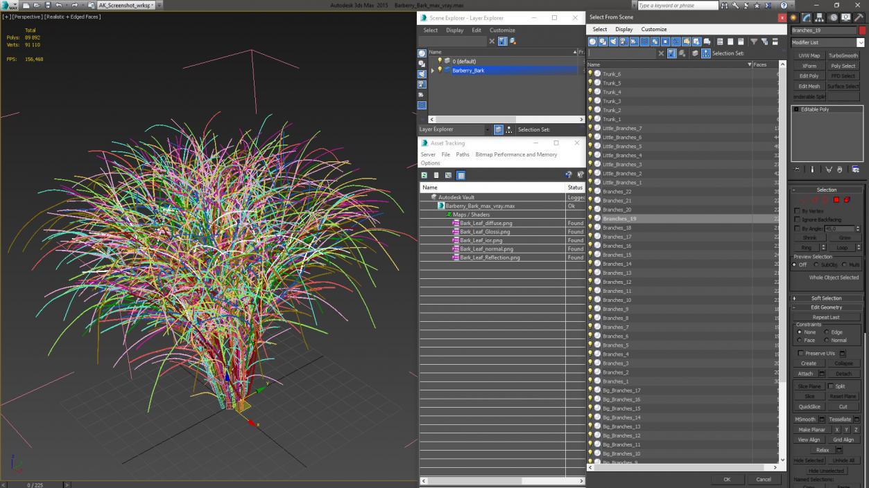 3D Barberry Bark model