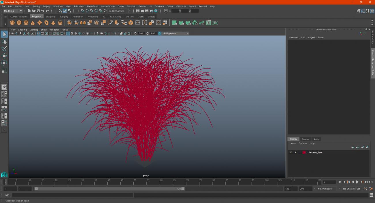 3D Barberry Bark model