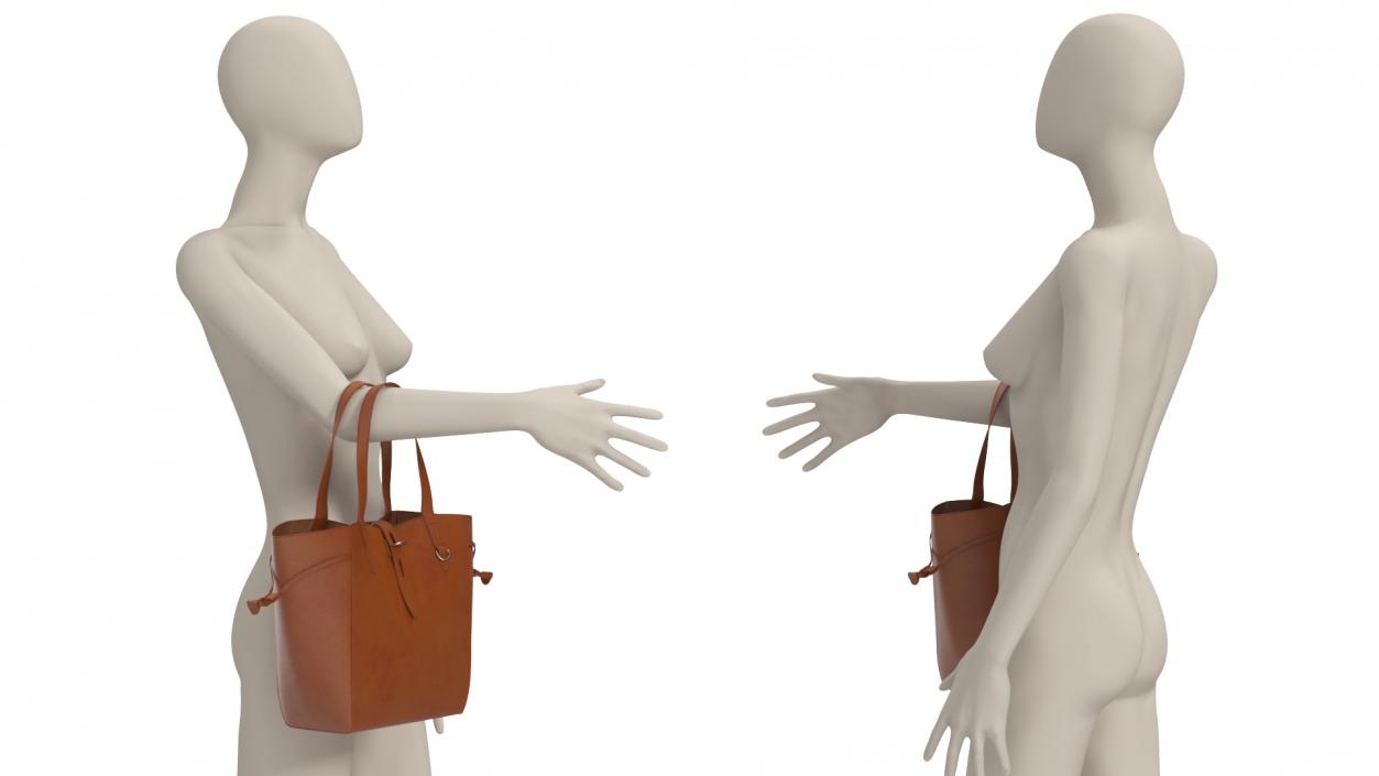 3D model Brown Leather Tote Bag on Mannequin