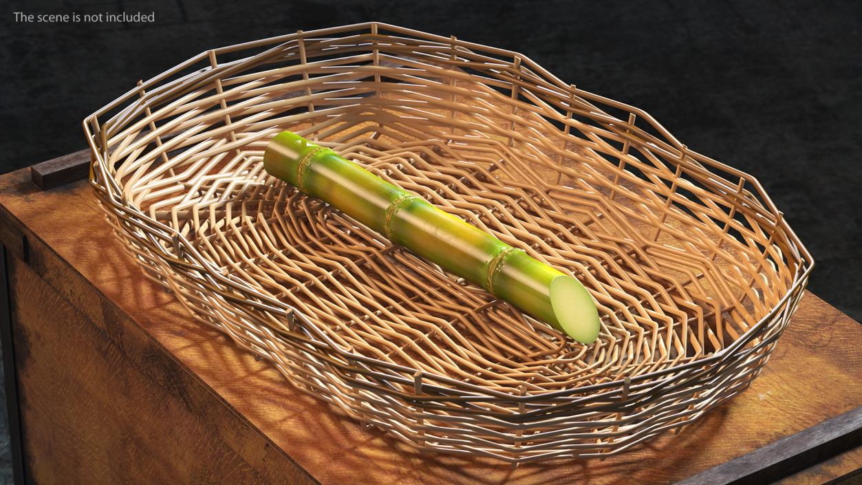 3D model Sugarcane Collection